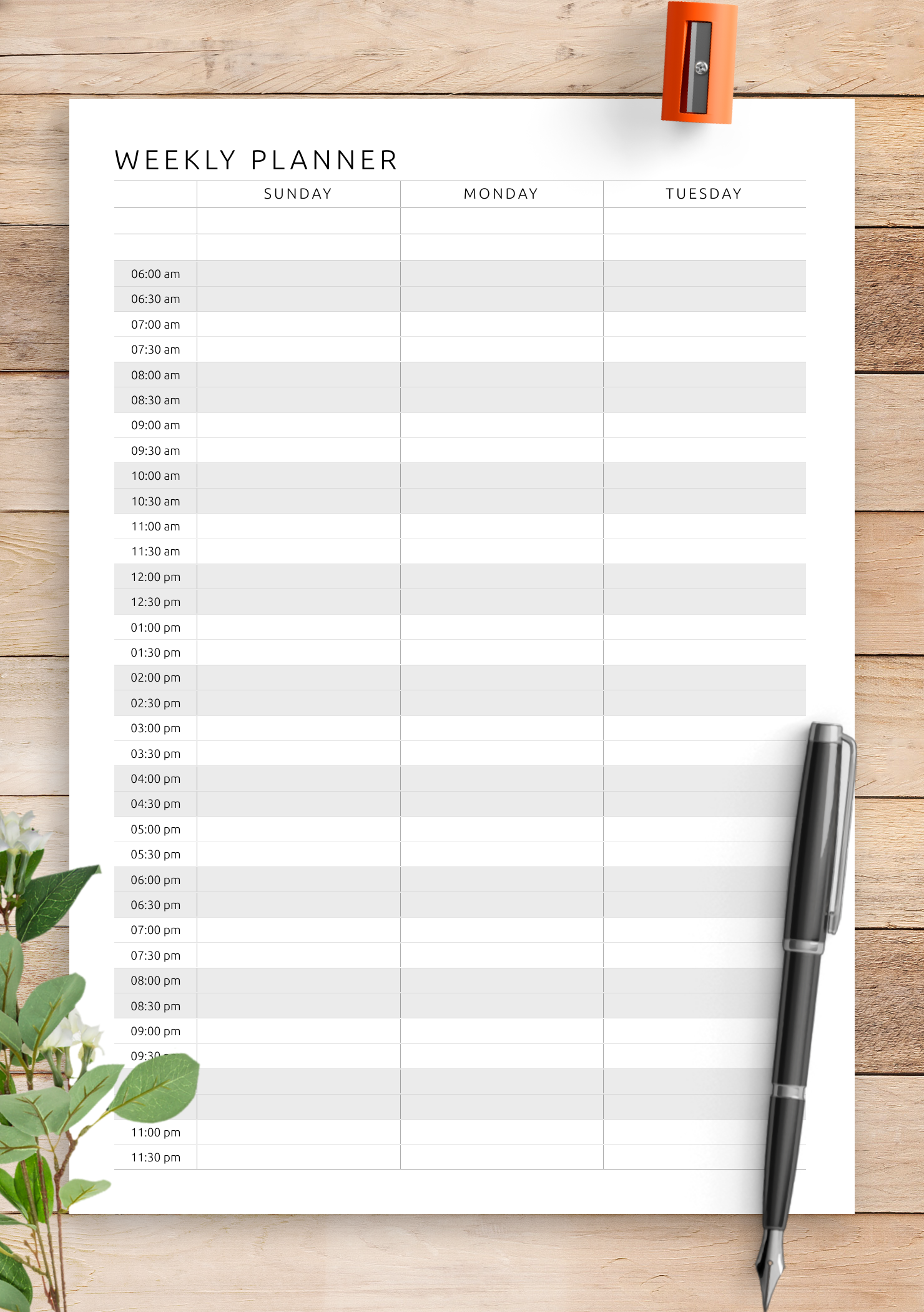 Free Printable Weekly Hourly Planner