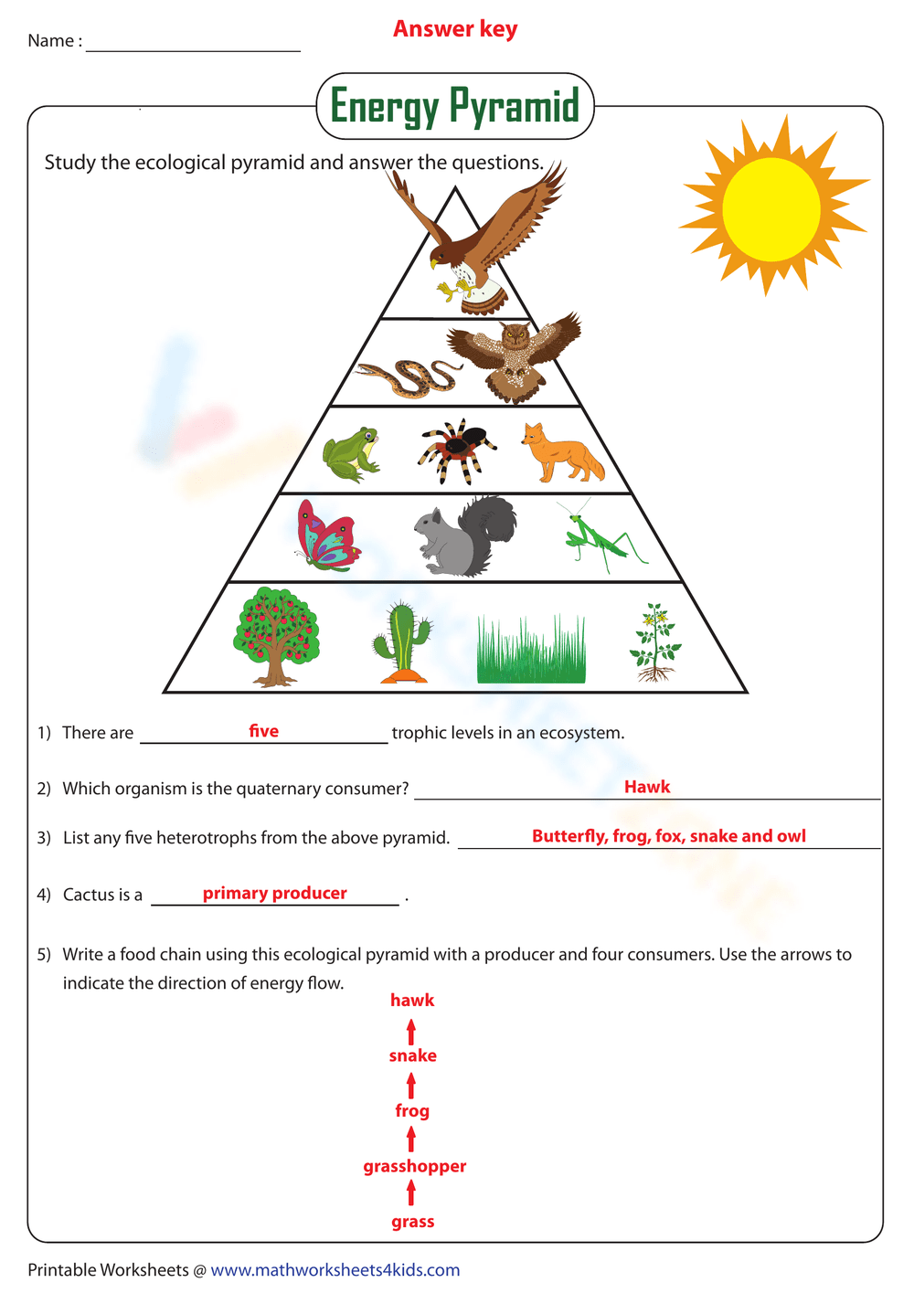 Ecosystem Worksheets 2024