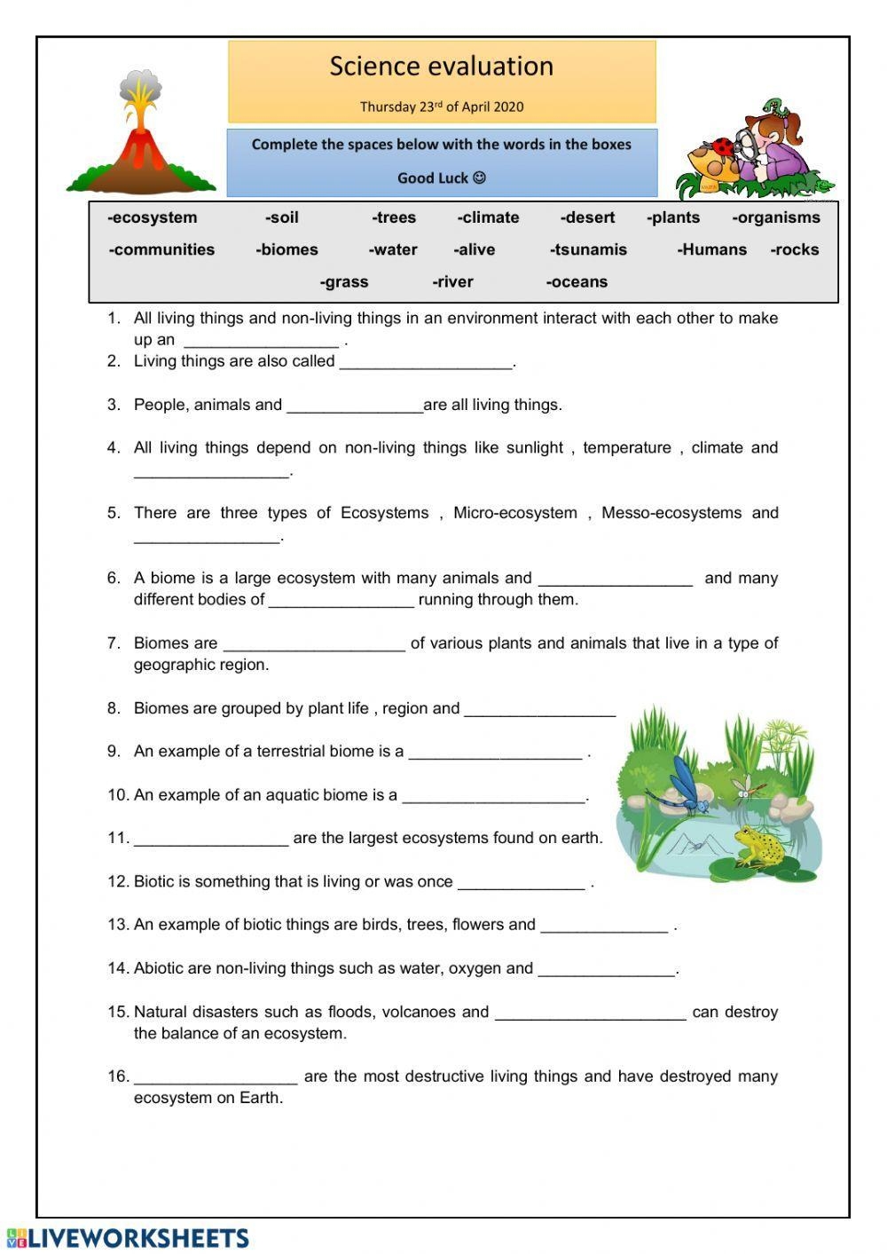 Free Printable Ecosystem Worksheets Pdf
