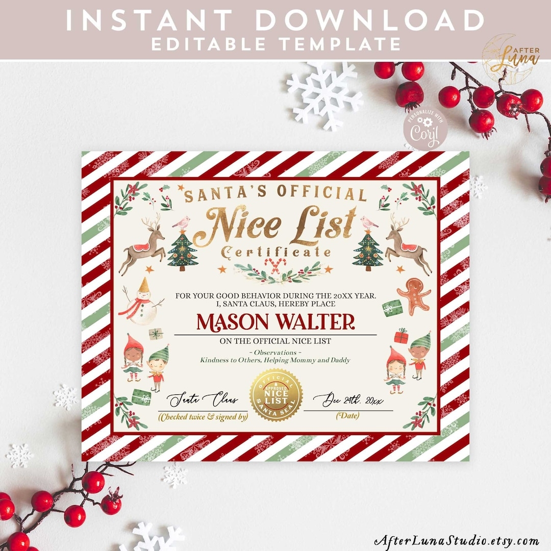 EDITABLE Nice List Certificate Printable Santa s Official Document Girl Boy Elf Nice List Certificate Template Instant Download 215 Etsy