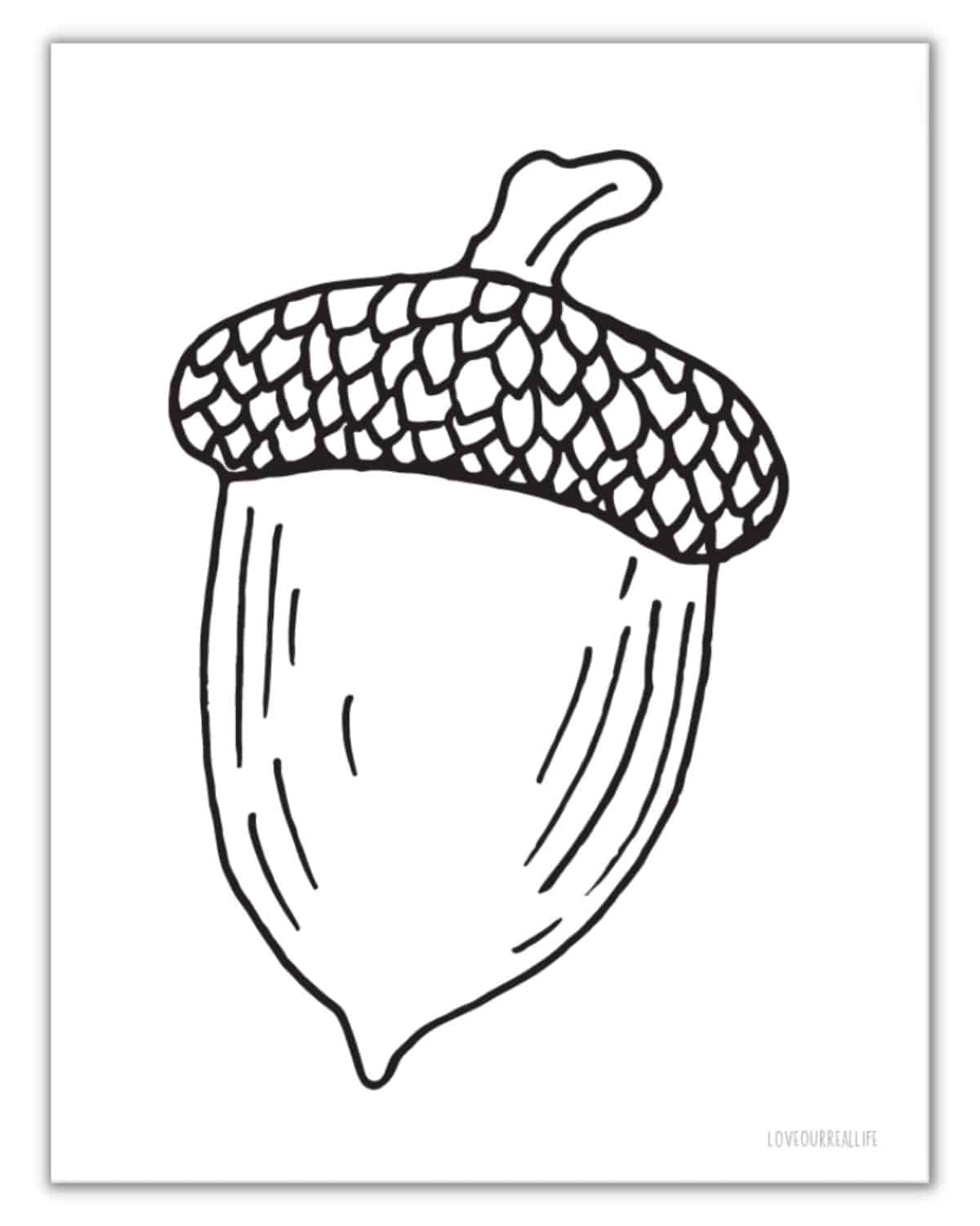 Free Acorn Template Printables Acorn Shapes For Crafts Love Our Real Life