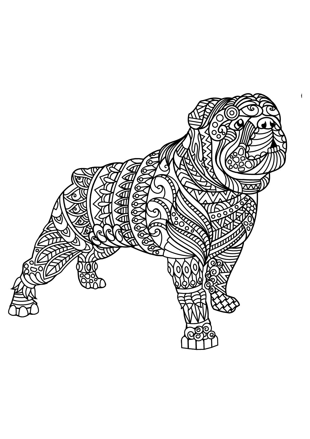 Free Book Bulldog 2 Dog Coloring Pages For Adults