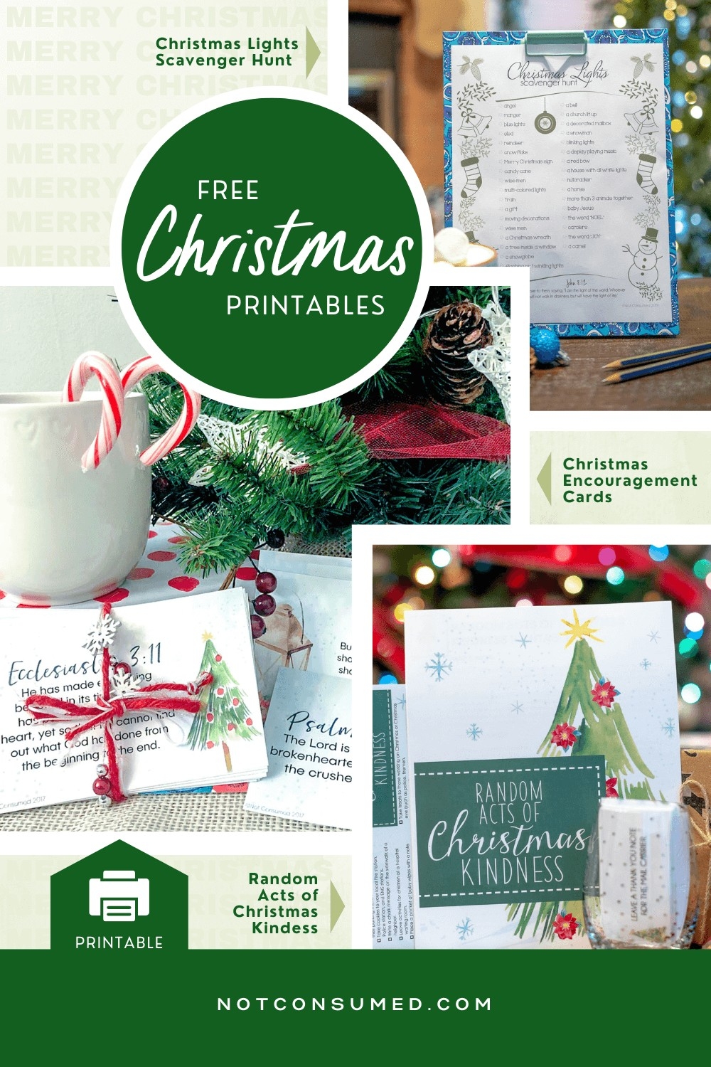 Not Consumed Free Printables