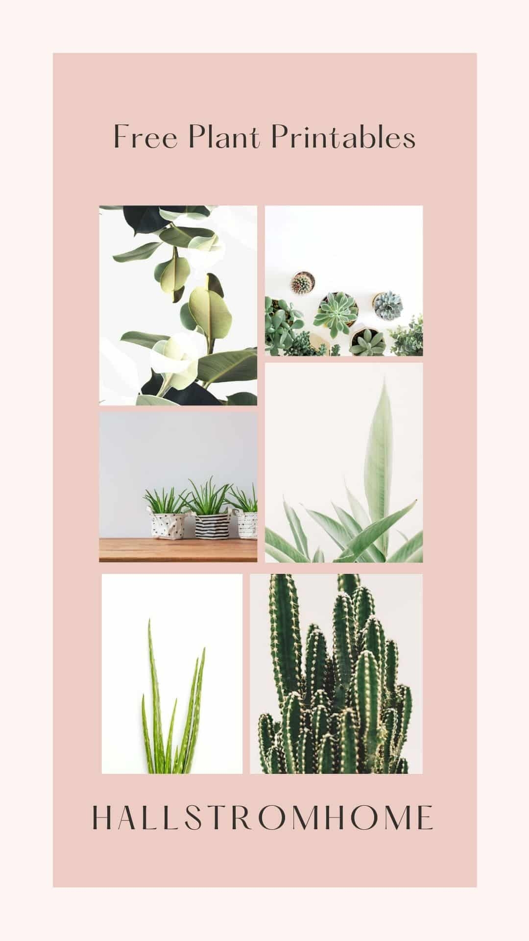 Free Plant Printables Hallstrom Home
