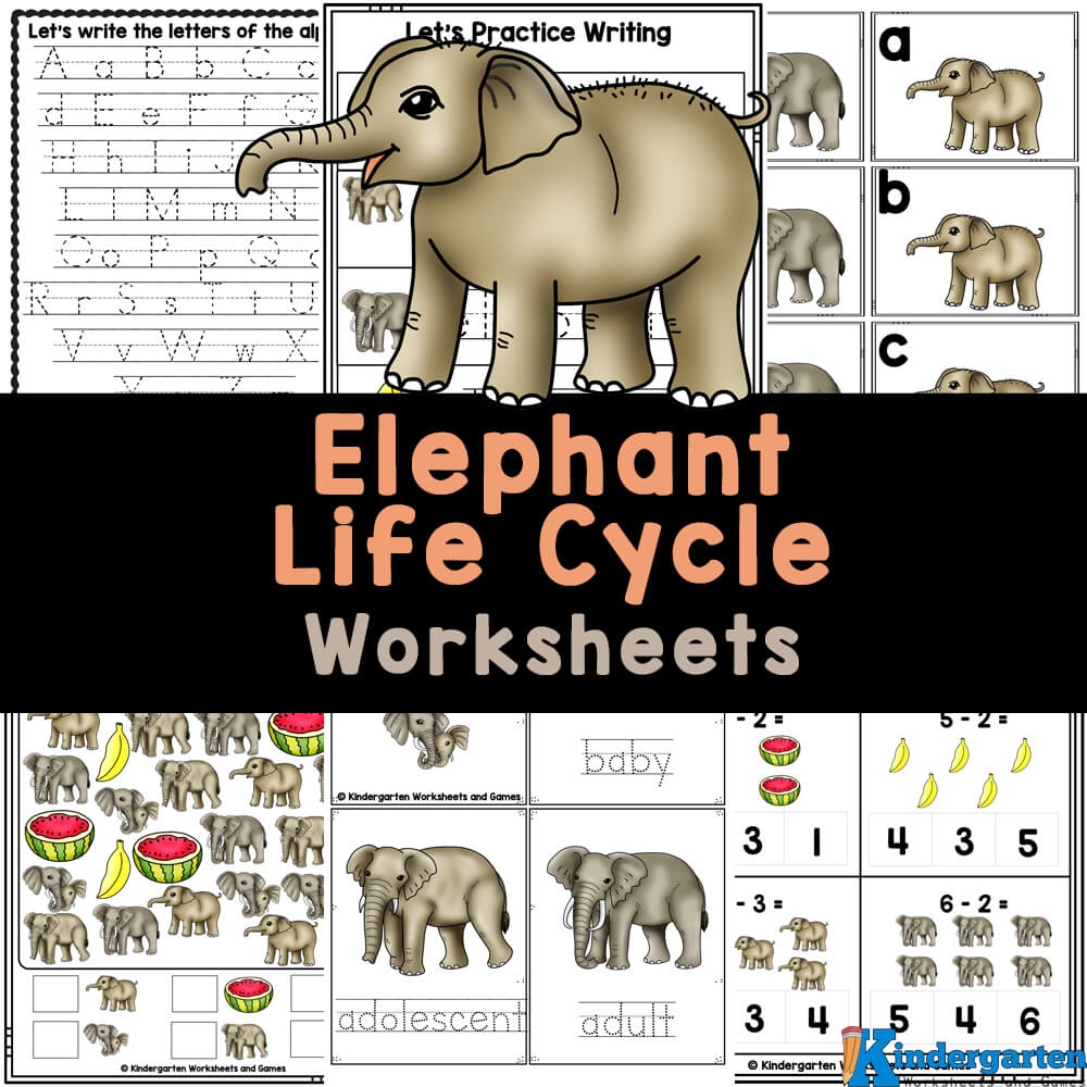 Elephant Printable Preschool Free