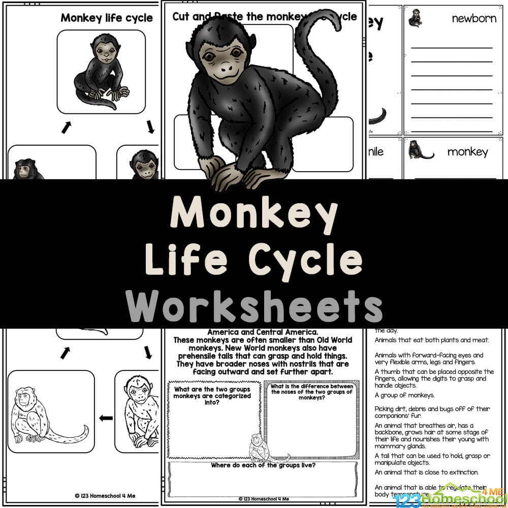 You Clever Monkey Free Printables