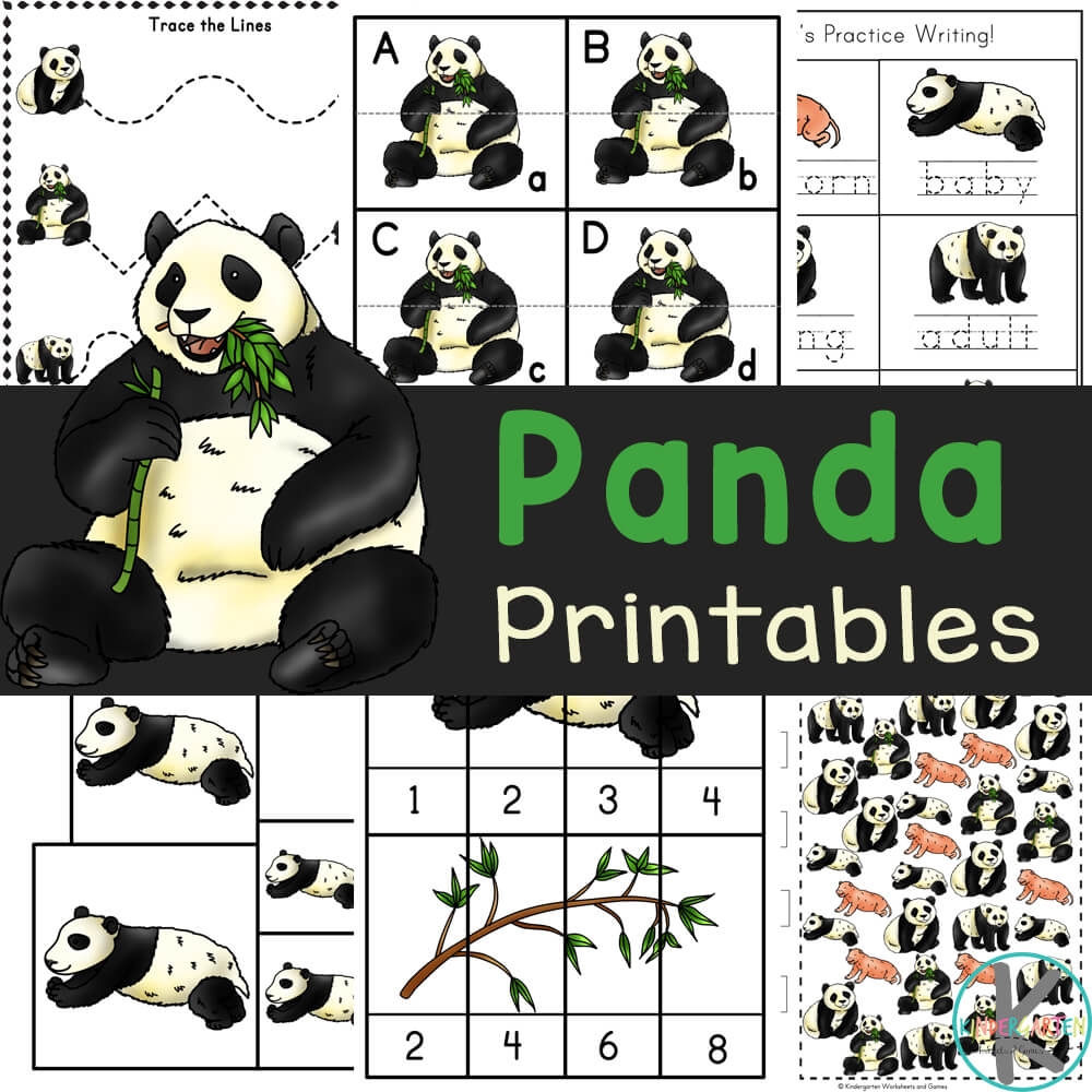  Free Printable Panda Worksheets w Life Cycle And Coloring Pages 