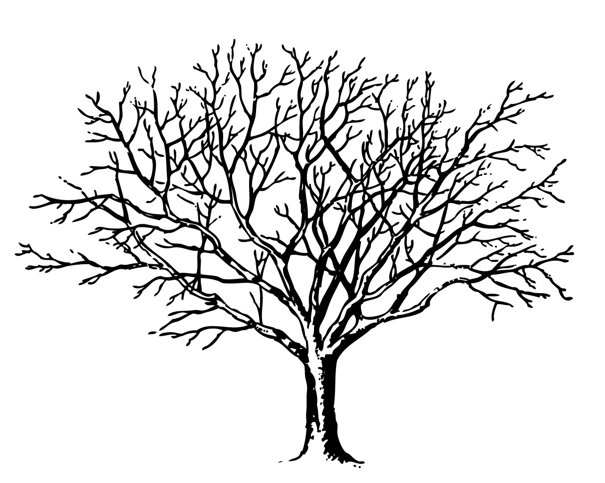 Free Printable Tree Silhouette Download Free Printable Tree Silhouette Png Images Free ClipArts On Clipart Library