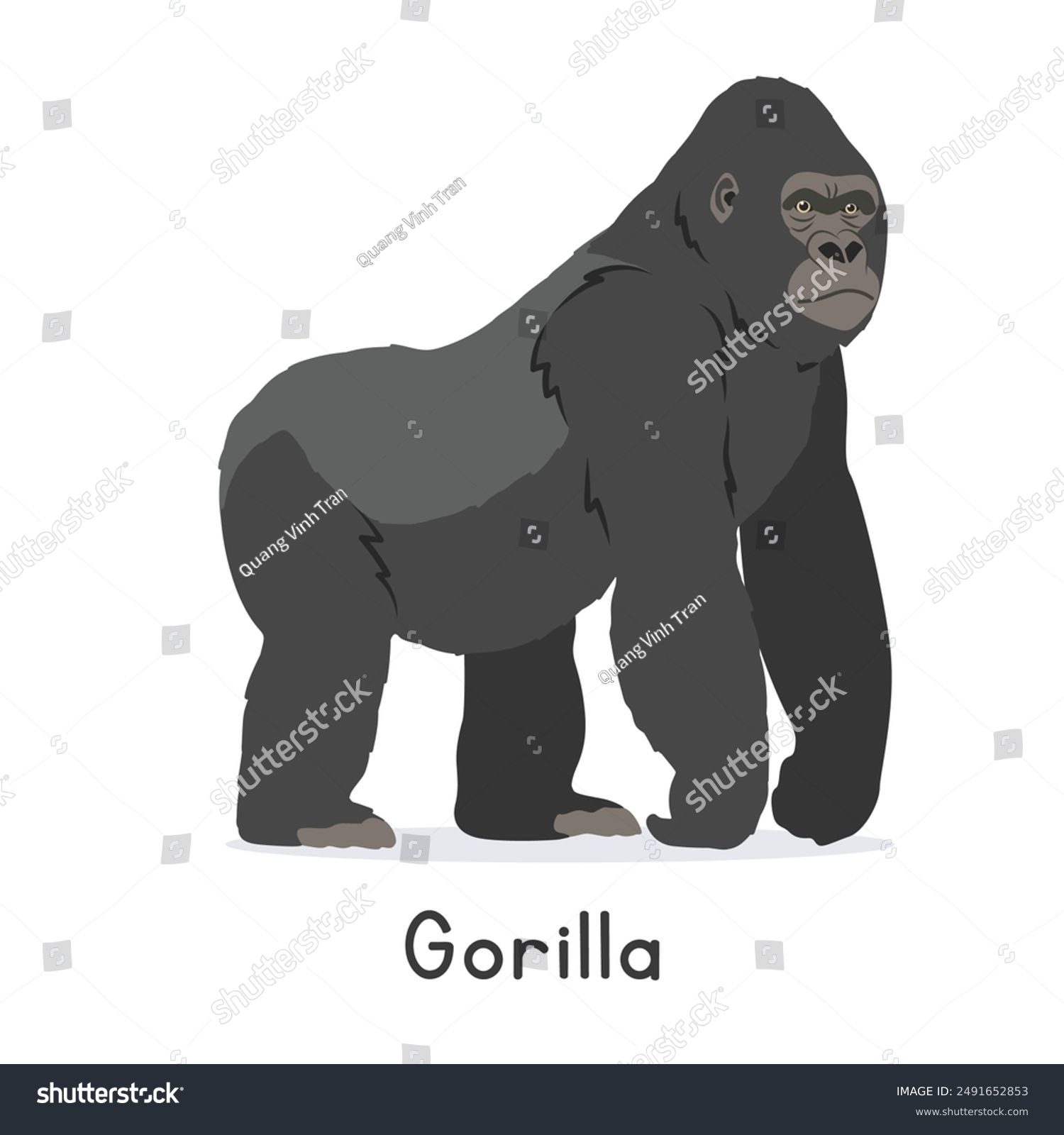 Gorilla Illustration Stock Photos And Pictures 55 062 Images Shutterstock