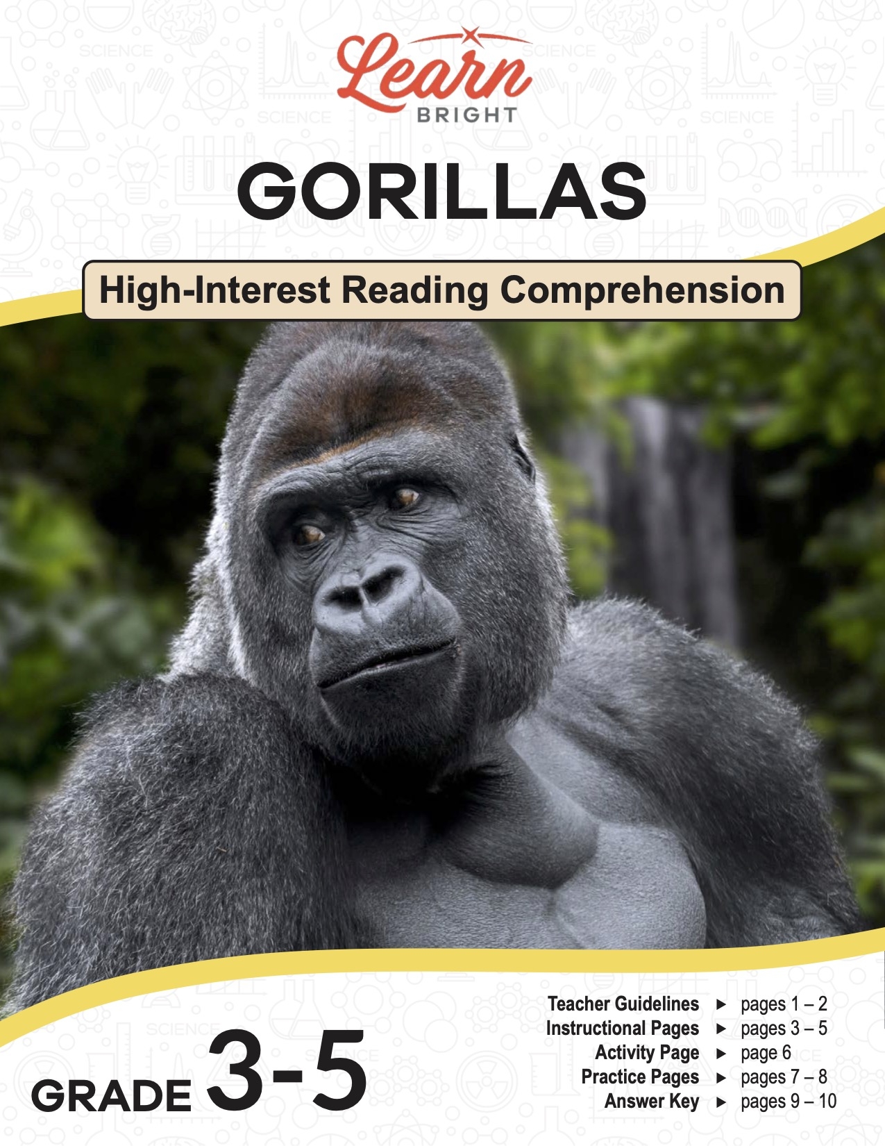 Gorillas Free PDF Download Learn Bright