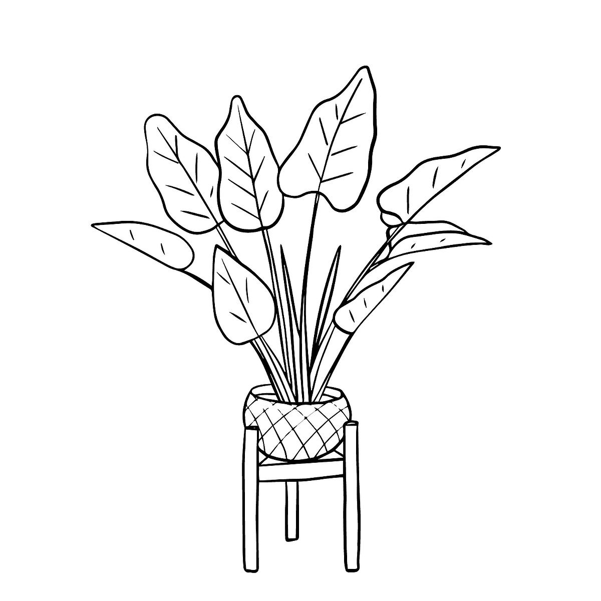Houseplants Coloring Pages Free Printable Coloring Pages Of Plants For Plant Lovers Printables 30Seconds Mom