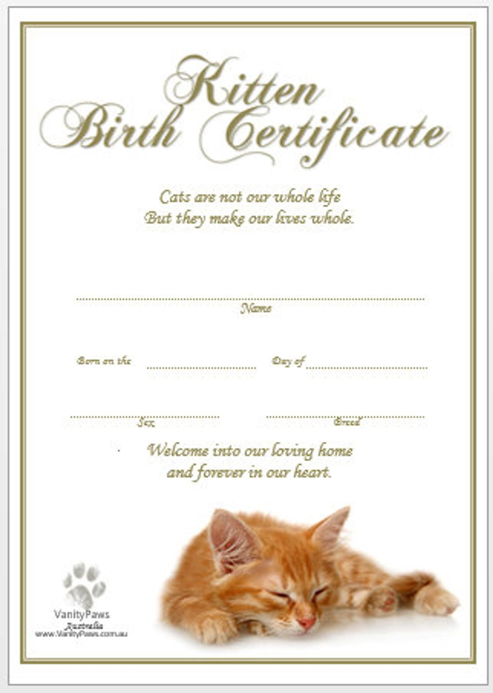Kitten Birth Certificate Ginger Instant Download Etsy Canada