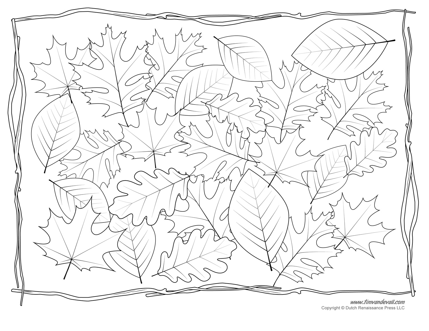 Free Printable Leaves To Color