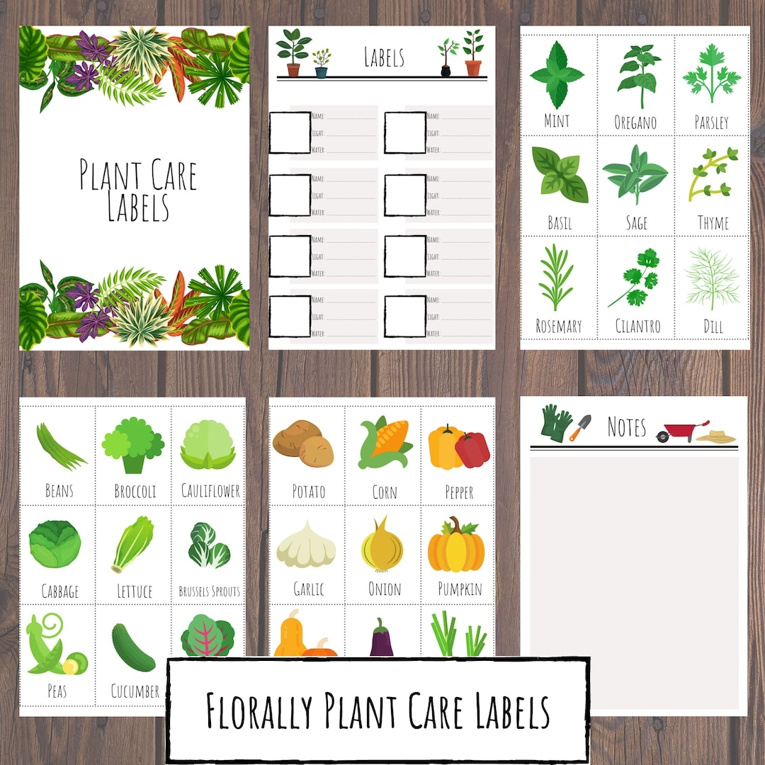 Plant Markers Printable Plant Labels Printable Plant Markets Vegetable Markers Herb Labels Printable Garden Planner Plant Planner Etsy