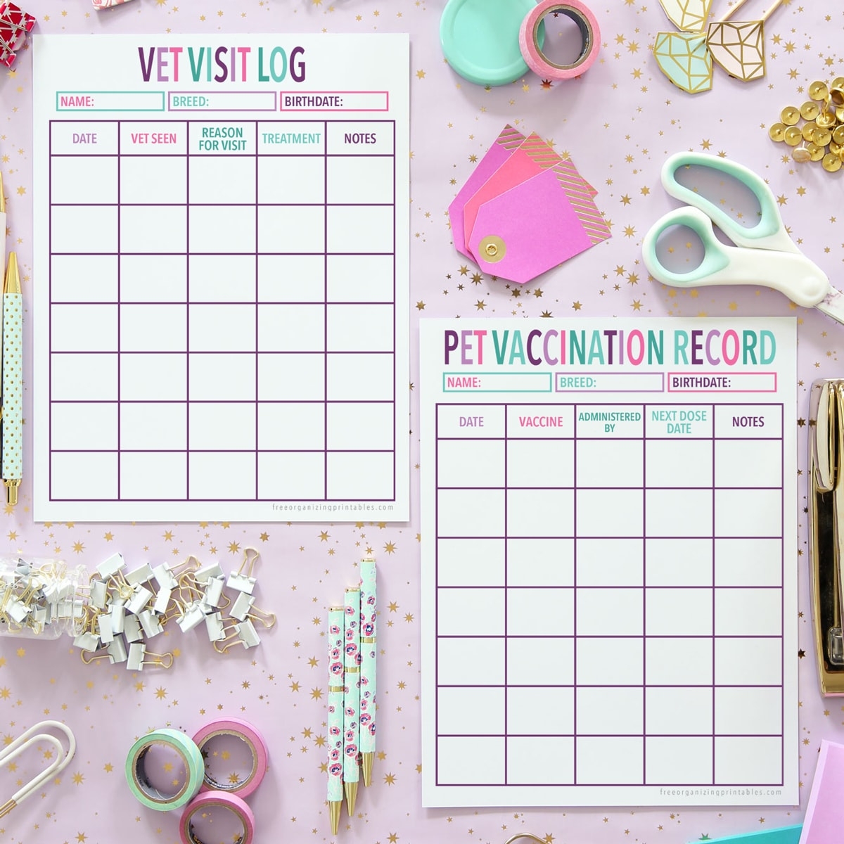 Printable Vet Record Template And Pet Vaccination Record