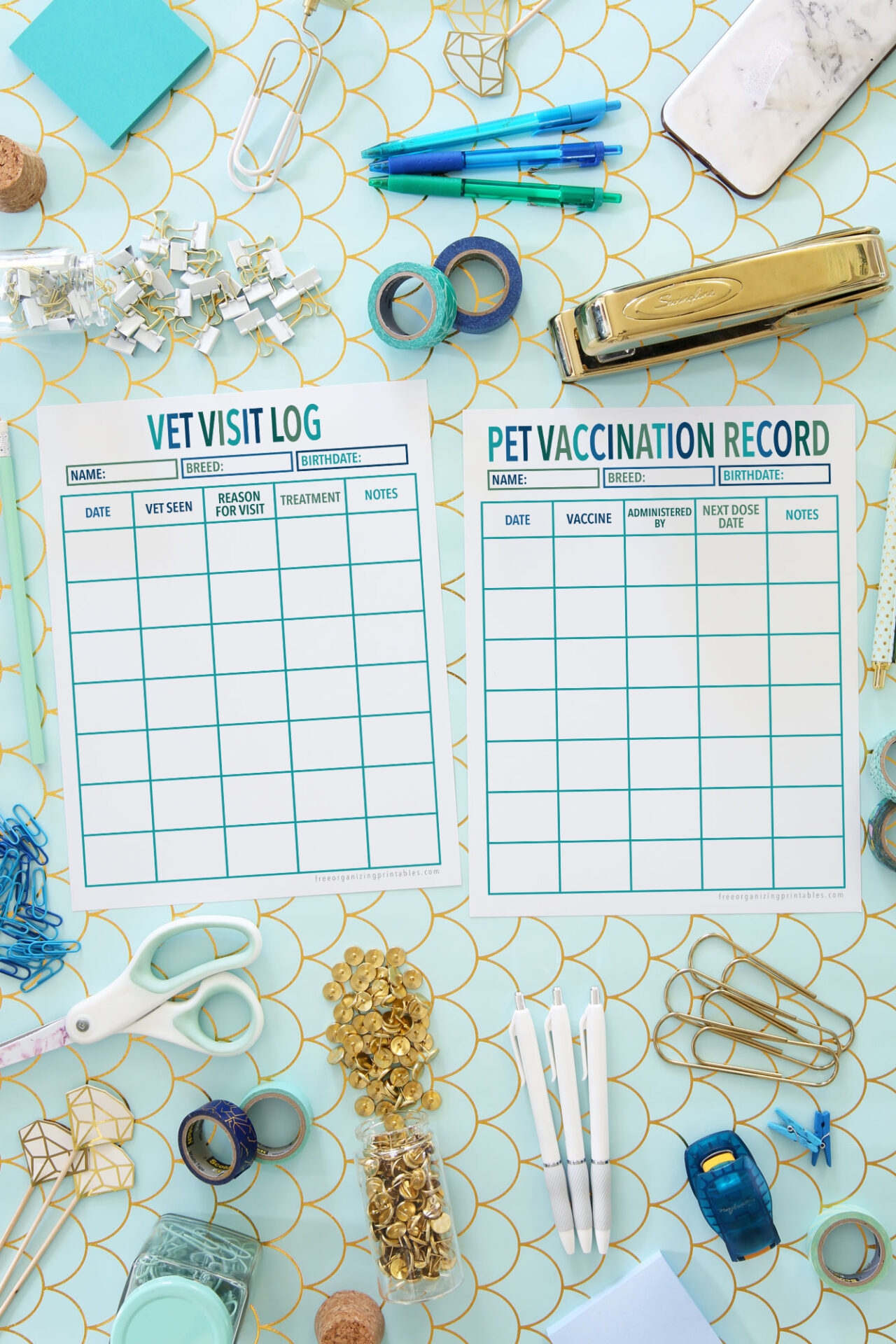 Free Printable Pet Vaccination Record