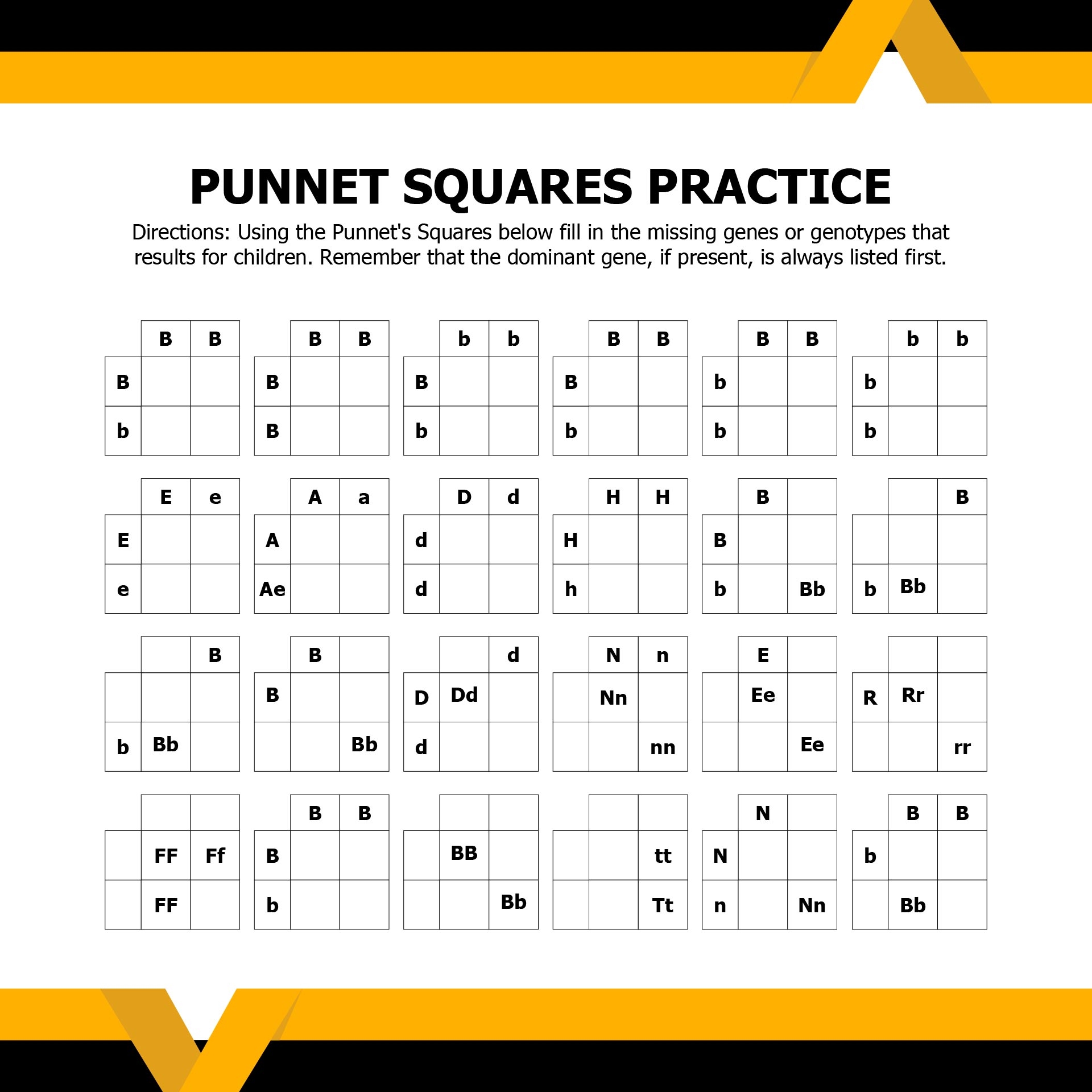 Punnett Square Practice Pages Fill And Sign Printable Template Worksheets Library