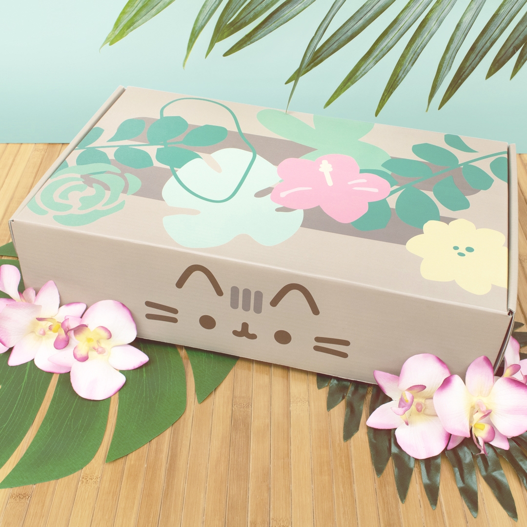 Pusheen Spring