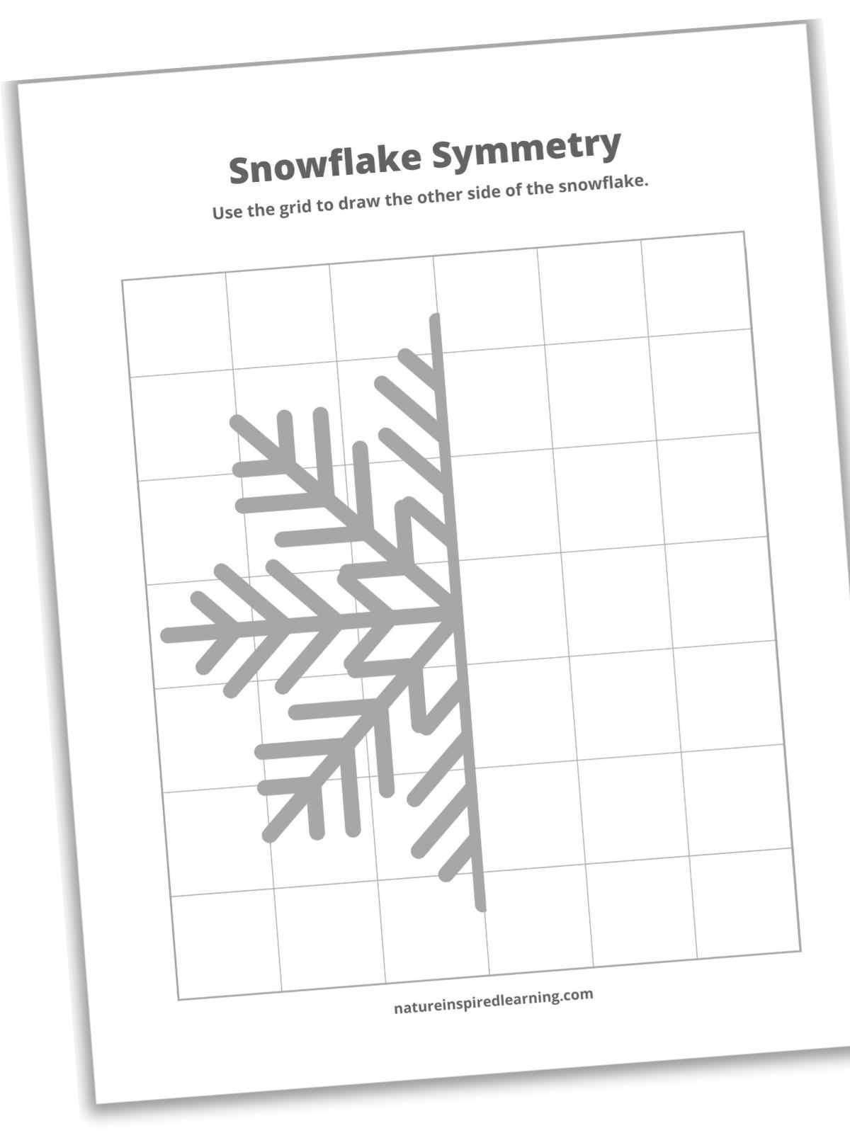 Snowflake Symmetry Worksheets Nature Inspired Learning