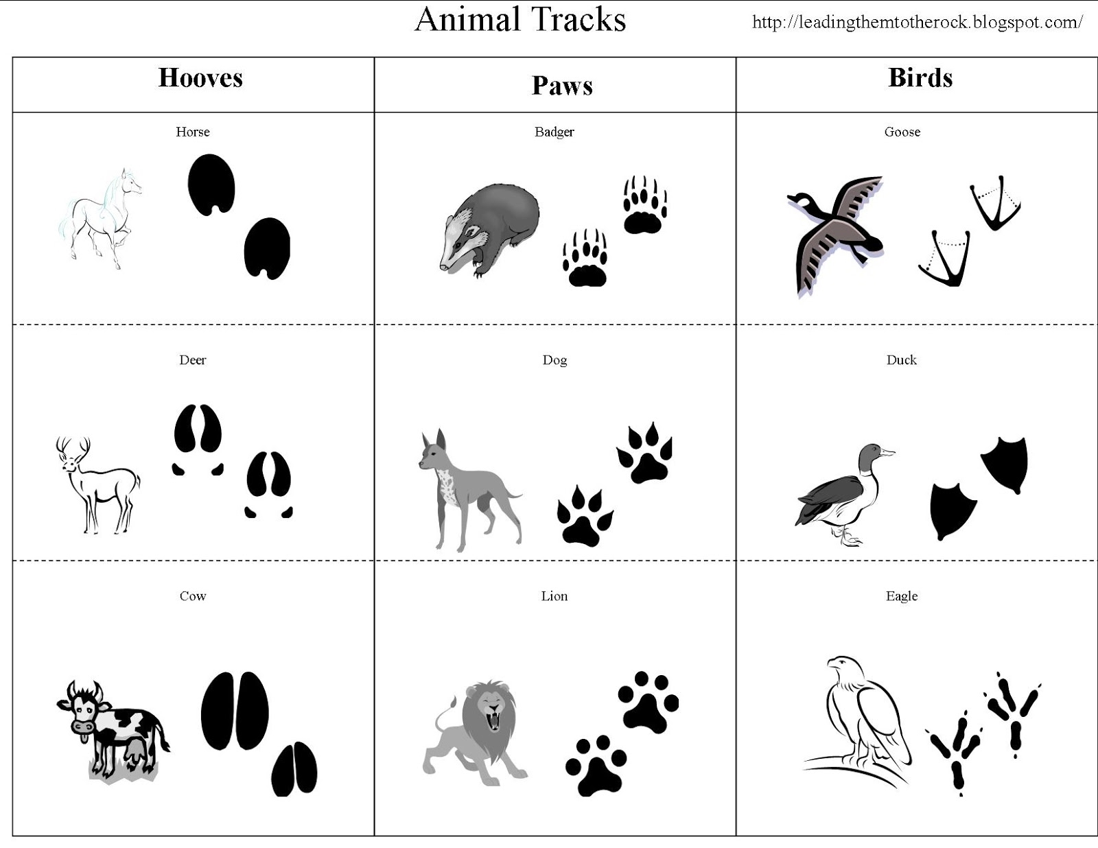To The Rock Homeschool Animal Study Animal Tracks