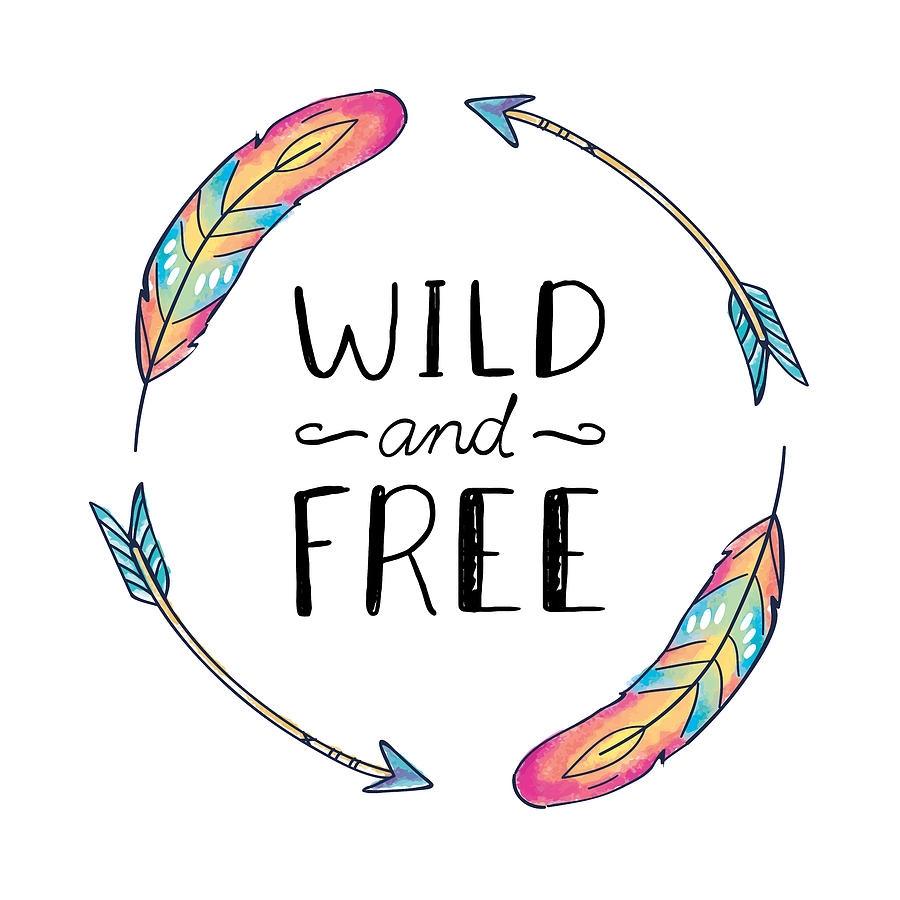 Wild And Free Colorful Feathers Boho Chic Ethnic Nursery Art Poster Print Drawing By Baby Room Art Pixels