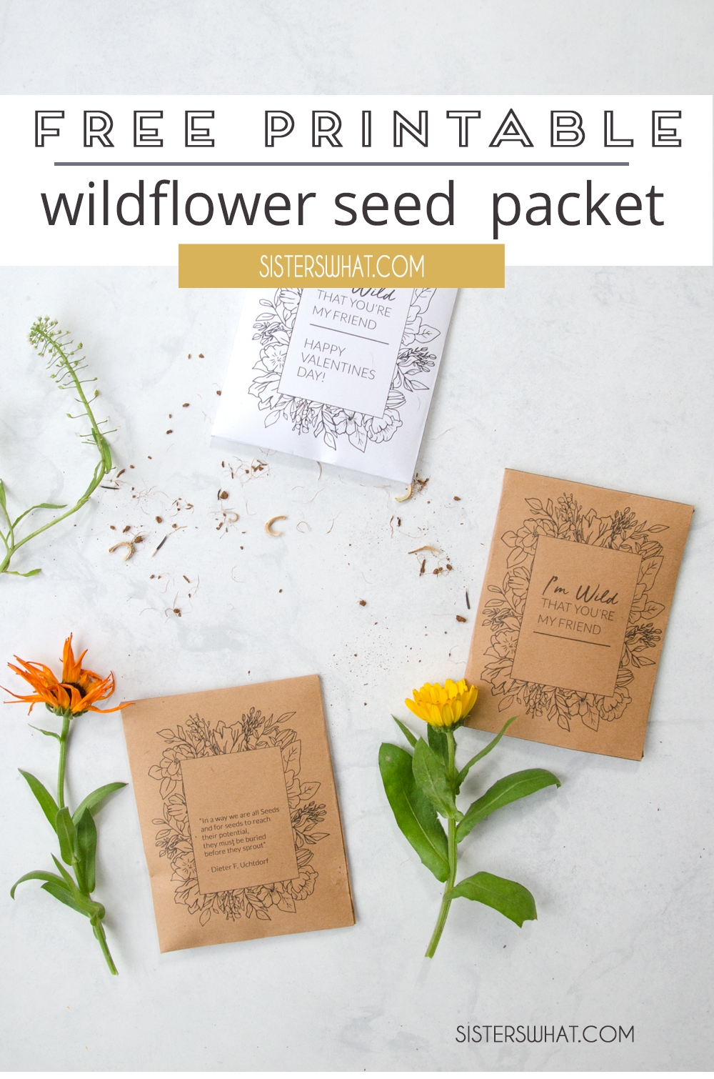 Free Seed Packet Printables